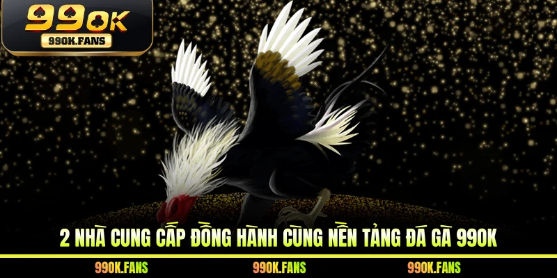 2 nhà cung cấp đồng hành cùng nền tảng đá gà 99OK